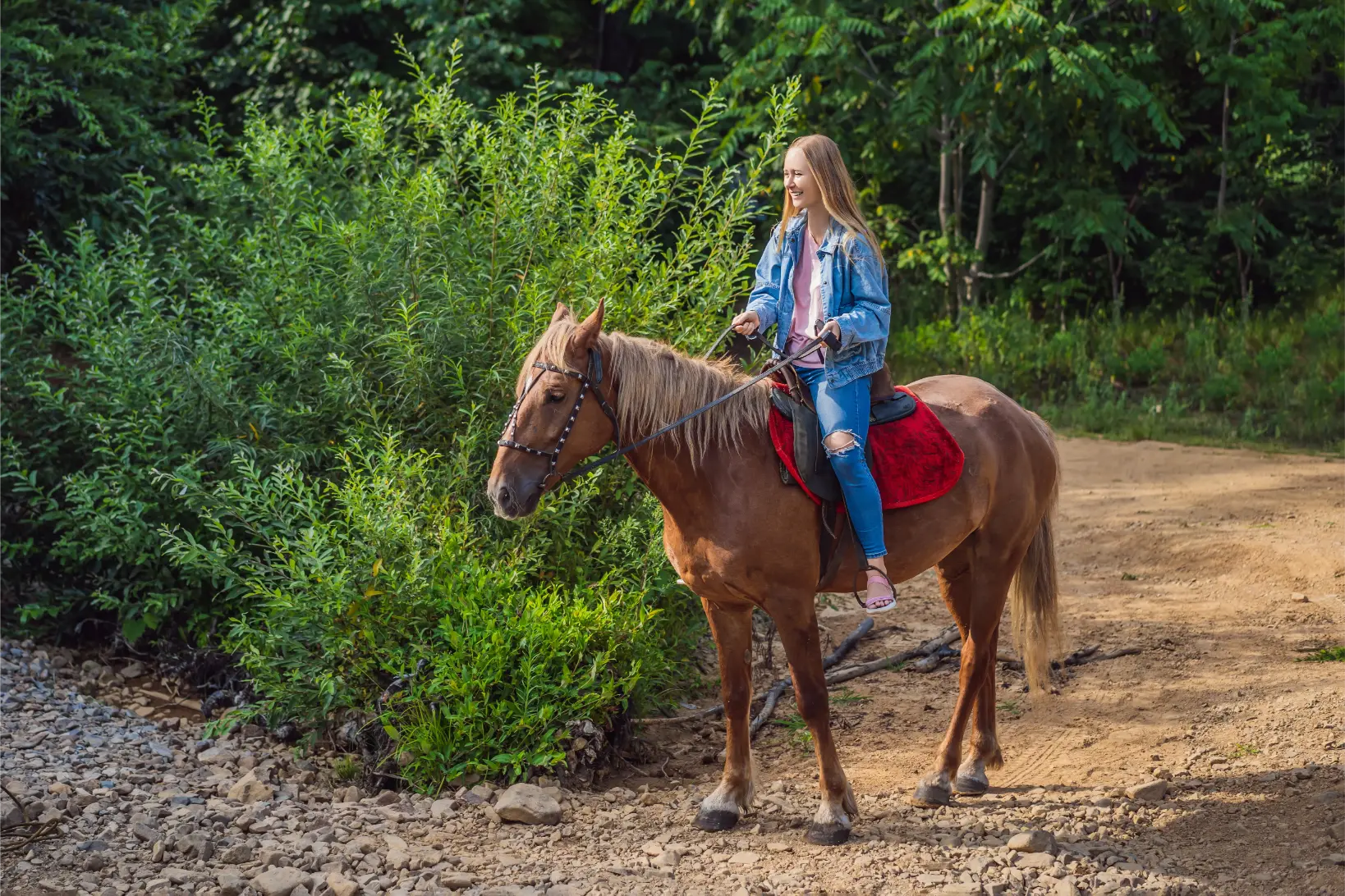 Horseback Riding image 1